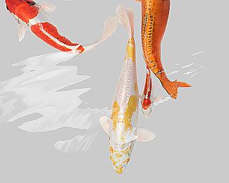 《黑神话》《影之刃零》并非PS独占 只是Xbox无人问津